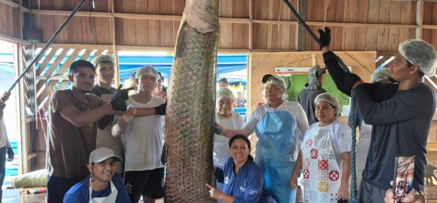 Pescadores de Maraã realizam primeira pesca de pirarucu manejado e faturam R$ 57 mil